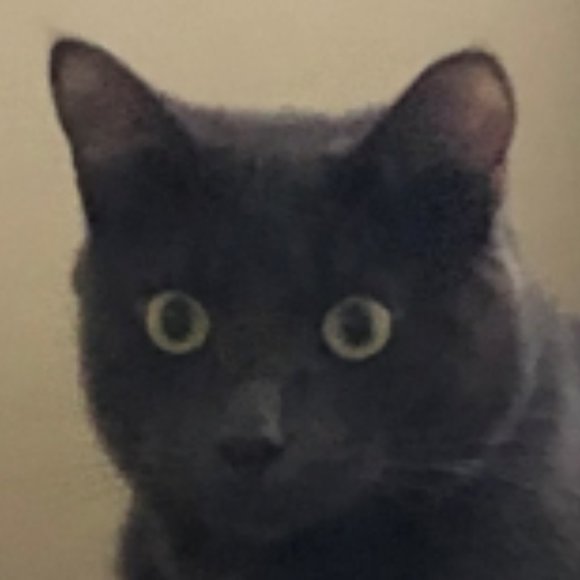 Meet your Posher, Jennifer - Picture 8 of 9